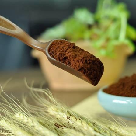 破壁灵芝孢子粉 长白山灵芝孢子粉加工厂家 食品OEM贴牌厂