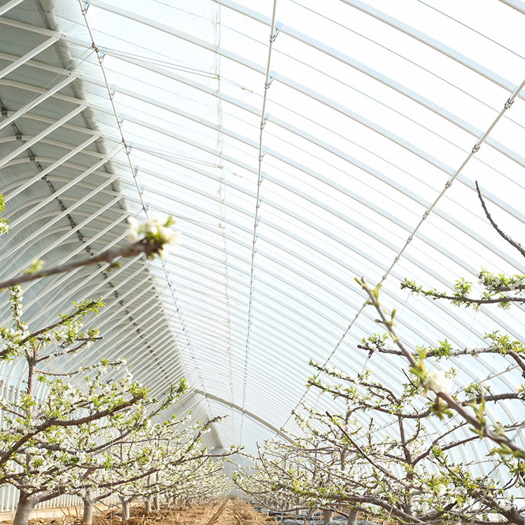 果树大棚智能温室大棚 大棚配件 蔬菜大棚 养殖大棚