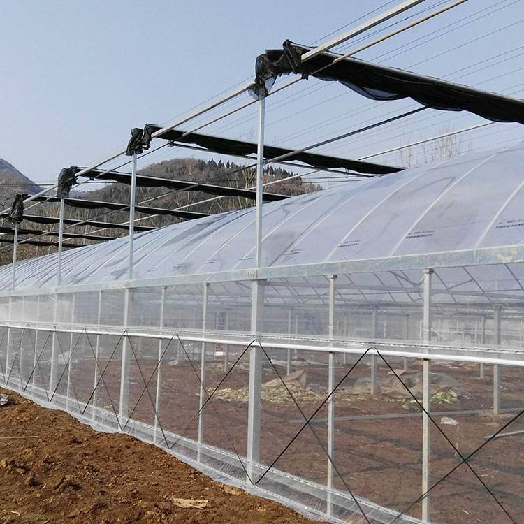 水果蔬菜养殖大棚生产厂家 大棚配件 蔬菜大棚 养殖大棚