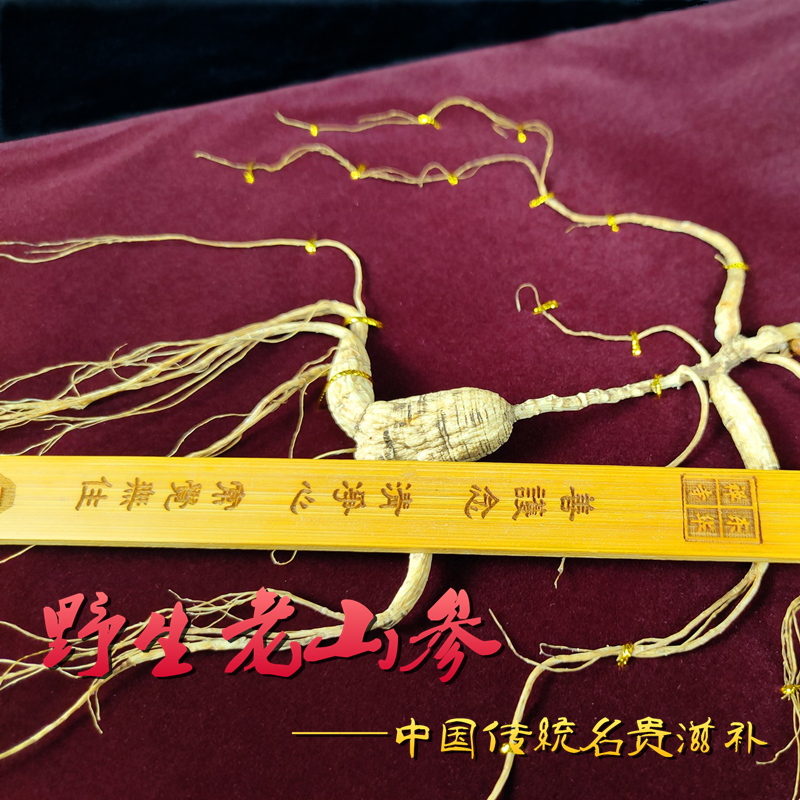 国检野山参礼品批发野山参礼盒野生人参人参礼盒山参礼盒礼品