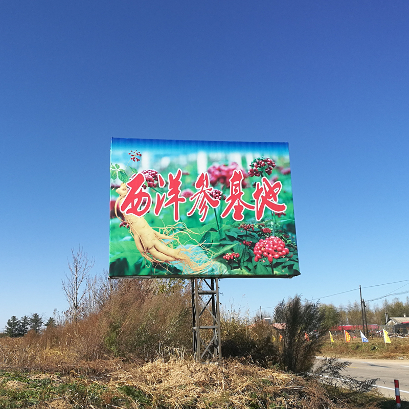 花旗参批发人参西洋参批发花旗参吉林人参批发