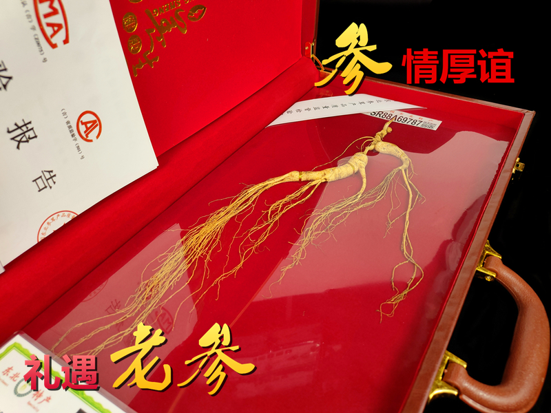 批发吉林品牌山参礼盒批发野山参礼盒人参山参礼品人参