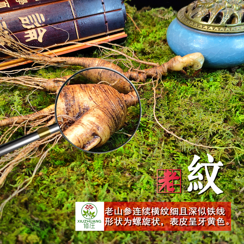 东北新鲜野山参礼盒批发鲜人参野山参礼盒人参山参礼品