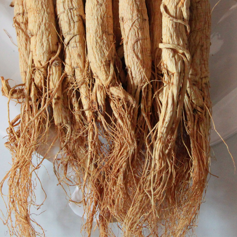 1000克装整支产地批发人参白参批发全须山参西洋参白参白山