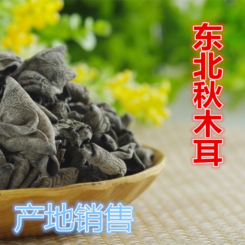 批发特级长白山秋木耳批发东北长白山黑木耳干货足干货