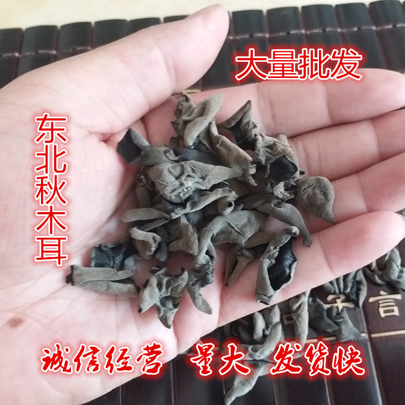 批发东北木耳袋无根肉厚黑木耳秋木耳老鼠耳干木耳肉厚