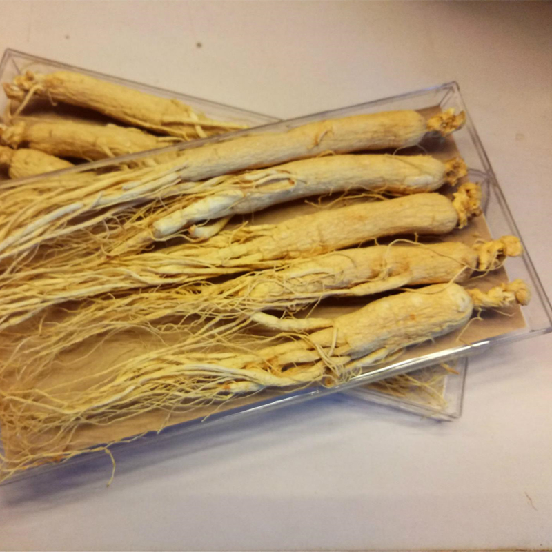 【厂家直销】长白山六年白参批发白参人参礼盒生晒参
