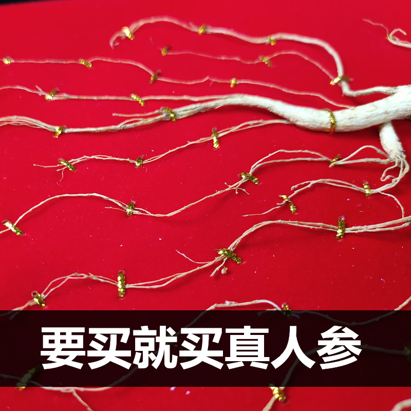 产地直销批发野山参礼盒礼品人参礼品林下山参老山参礼盒批发