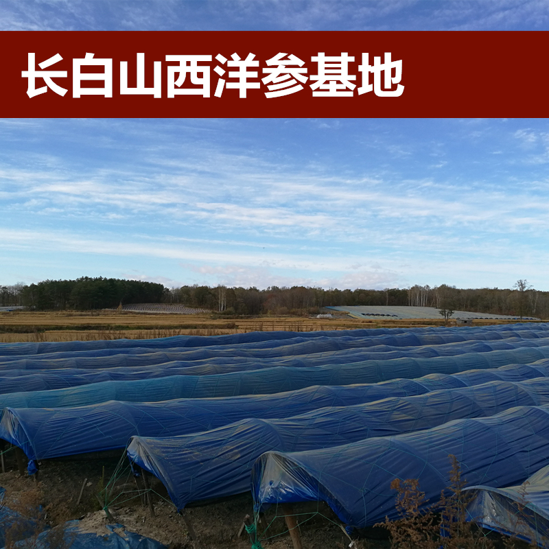 【吉林产地批发】东北西洋参片批发花旗参野山参人参礼盒