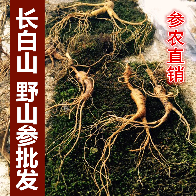 东北特产鲜野山参山参礼品西洋参礼盒老山参礼盒人参新鲜人参