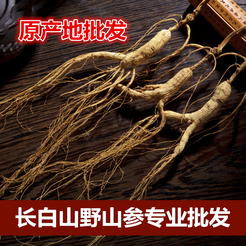 长白山东北山参批发白参老山参礼盒人参批发新鲜野参