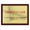 吉林省科技小巨人