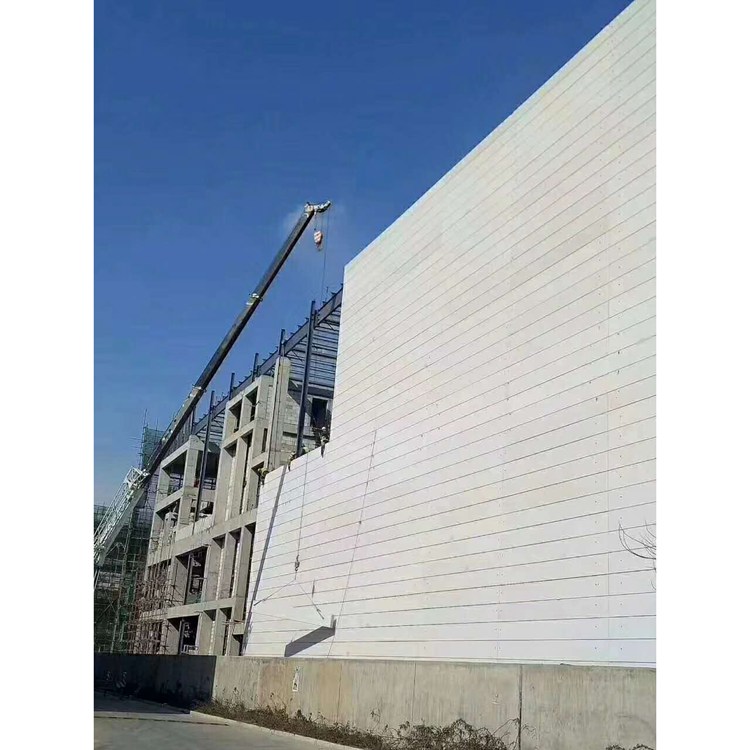 隔墙板厂家-蒸压加气混凝土板 隔墙板价格