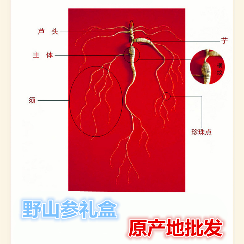 原产地野山参批发山参礼盒批发泡酒煲汤西洋参高丽参山参礼盒