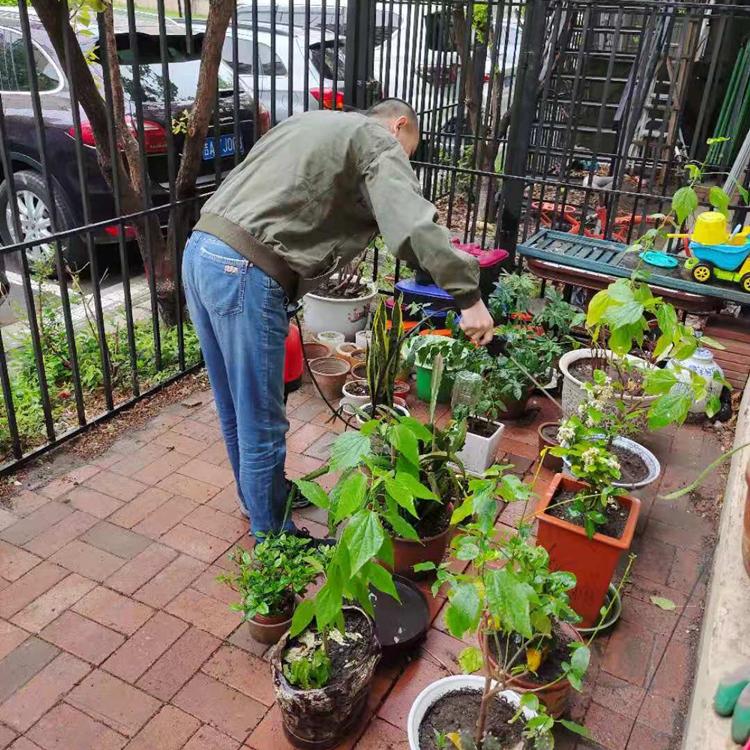 虫帮 消毒杀菌 专业团队 长春空气治理价格