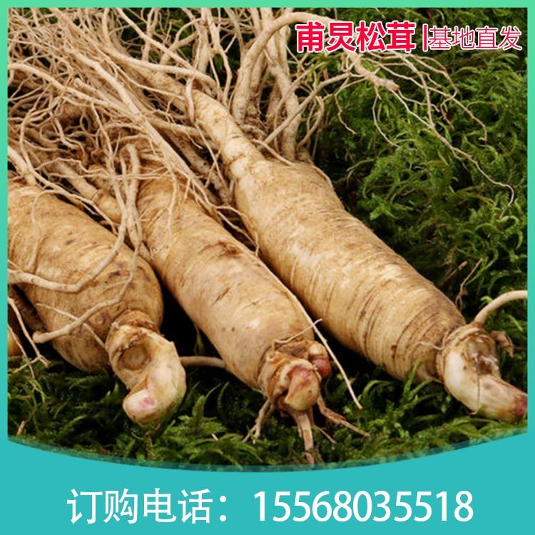 鲜参 东北林下人参厂   厂家直批