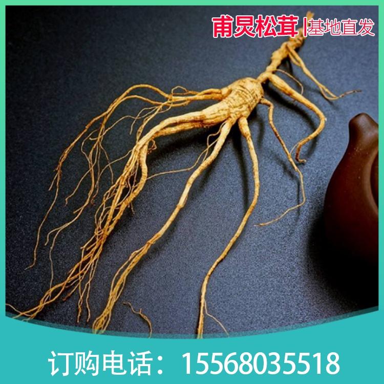 长白山人参 吉林林下参   基地直发