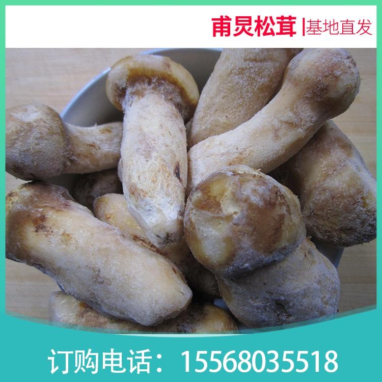 冰冻松茸销售 东北冰松茸 厂家直销