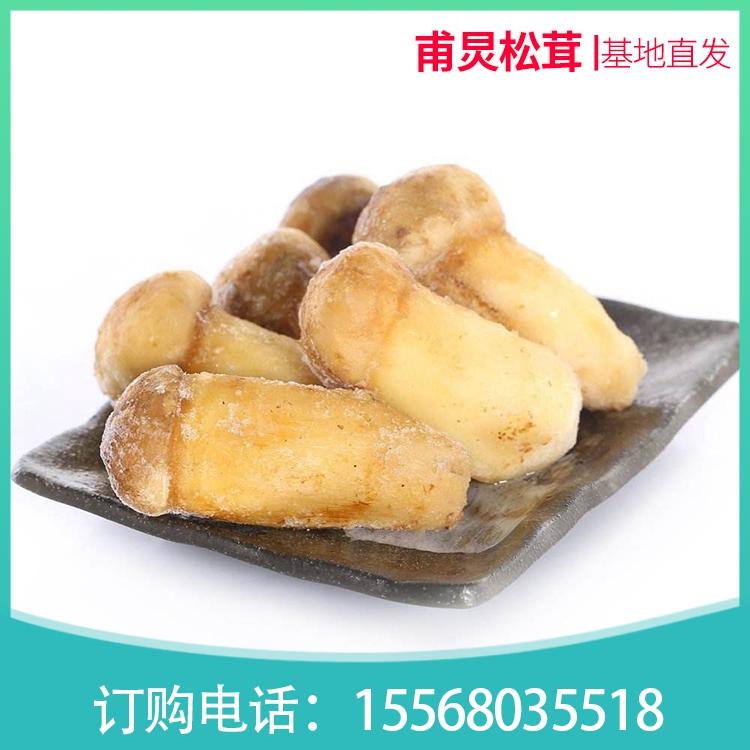 东北松茸基地 冰冻松茸销售 定制批发