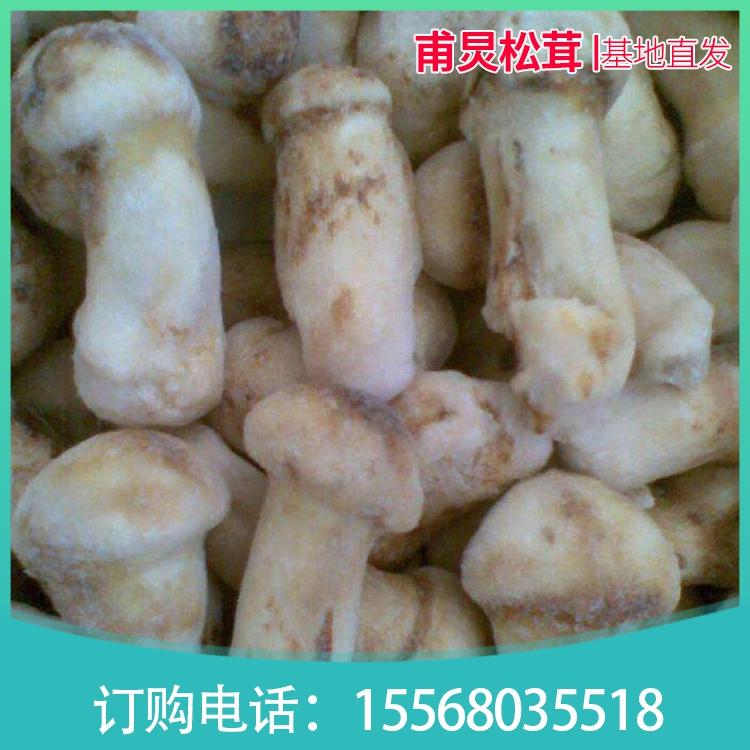 延吉种植基地直发 东北特色冻松茸批发 松茸礼盒批发 基地直销