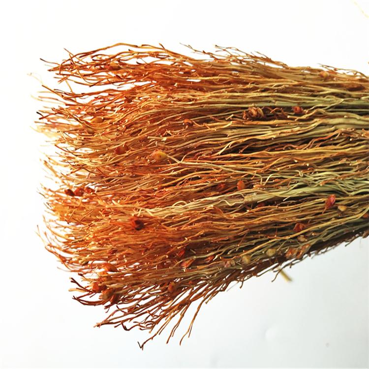 长春刷帚批发 家用刷帚