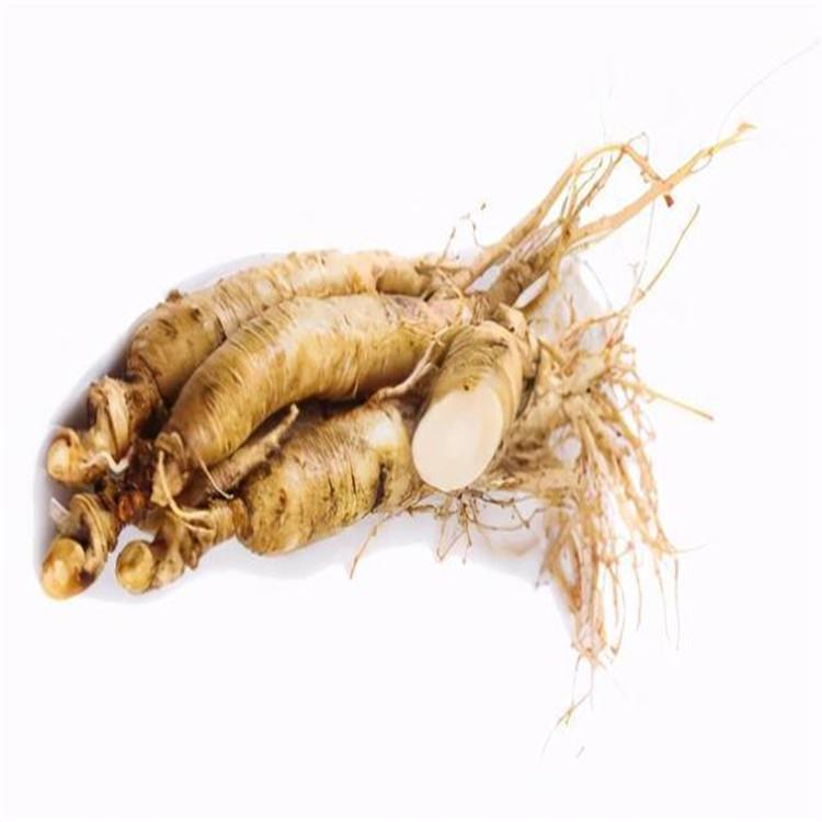 人参 优质供应 锦源 山参 货源充足 种类齐全