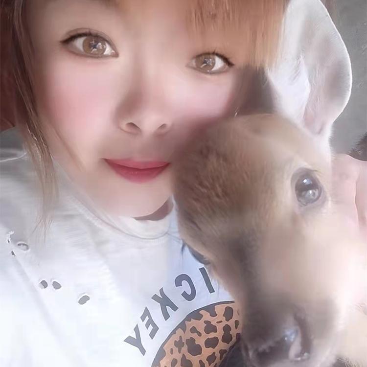 喂养鹿羔 饲养厂家 锦源小鹿 价格信息 欢迎咨询