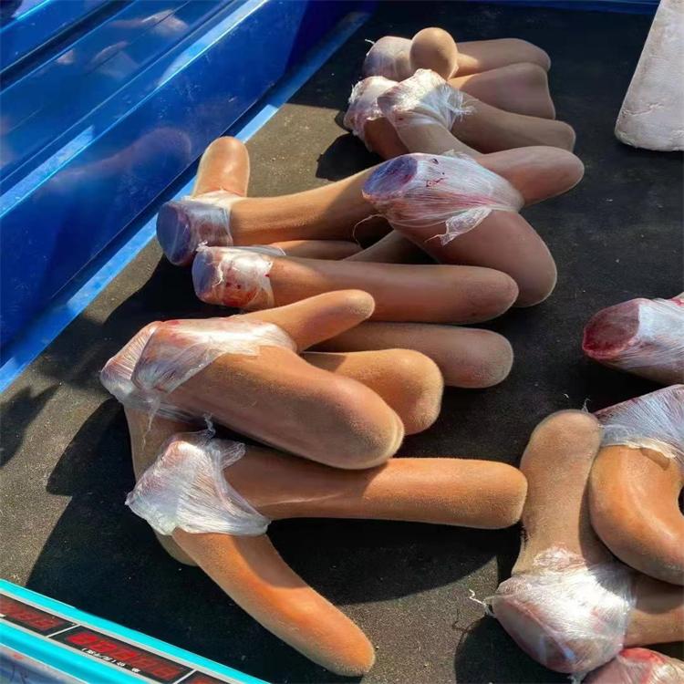 吉林鲜鹿茸 东北鹿场品质货源