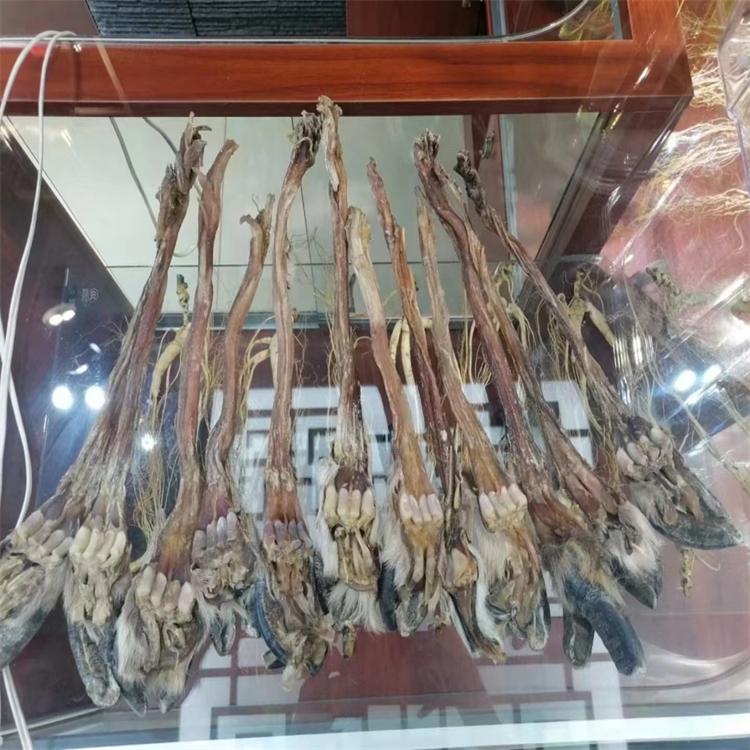 吉林鹿养殖基地 鹿筋 