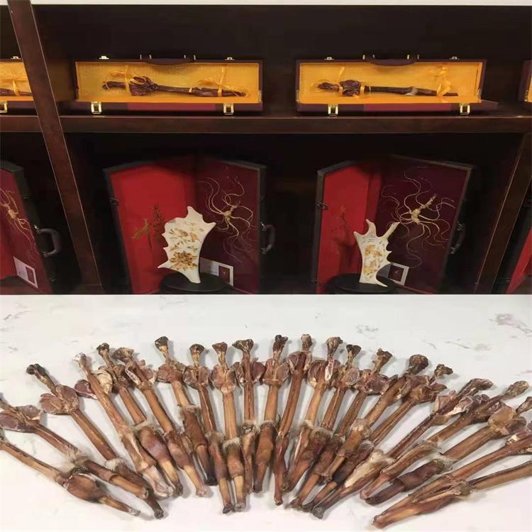 东北干鹿鞭 纹路清晰品质好
