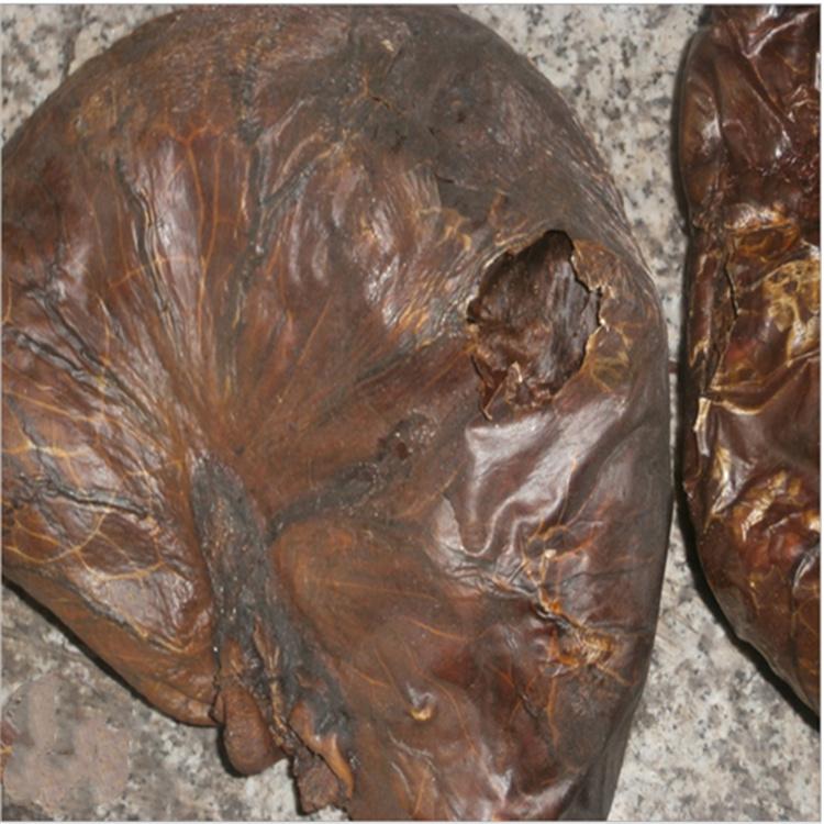 干鹿胎  基地直发 正品发售  支持验货 售后完善