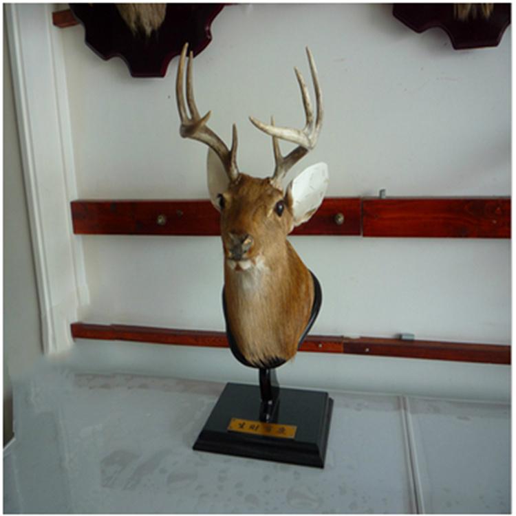 鹿头壁挂  客厅壁饰 电视背景墙面装饰挂件 玄关墙上  墙壁装修挂饰