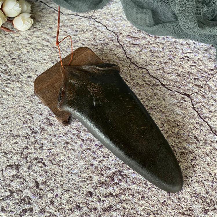 鹿场直供 净鹿尾巴  一件代发