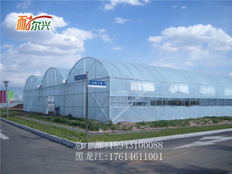 品质优秀 连栋塑料大棚 规格齐全 2020报价 吉林连栋塑料大棚