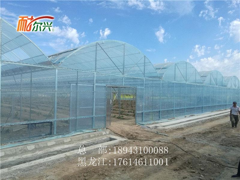 品质优秀 连栋塑料大棚1 规格齐全 2020报价 吉林连栋塑料大棚