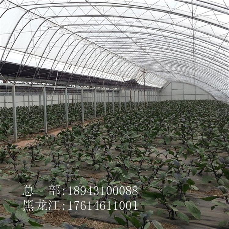 温室大棚 冷棚 简易单体拱棚 设计生产施工