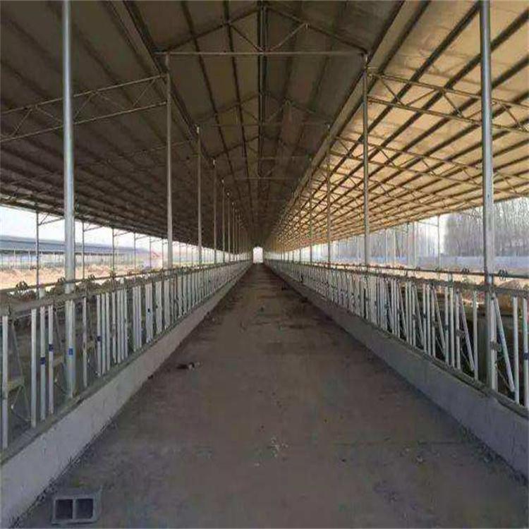 彩钢房制作 彩钢拼装房 装配式牛舍 腾飞彩钢 上门安装