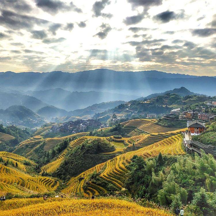 吉林有机大米基地，东北大米批发，价格公道，口感醇正