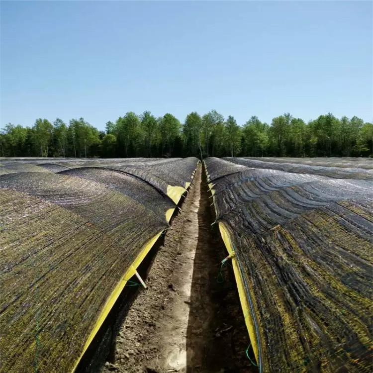 吉林遮阳网 生产厂家 参达塑业 人参遮阳防晒网 质量优秀