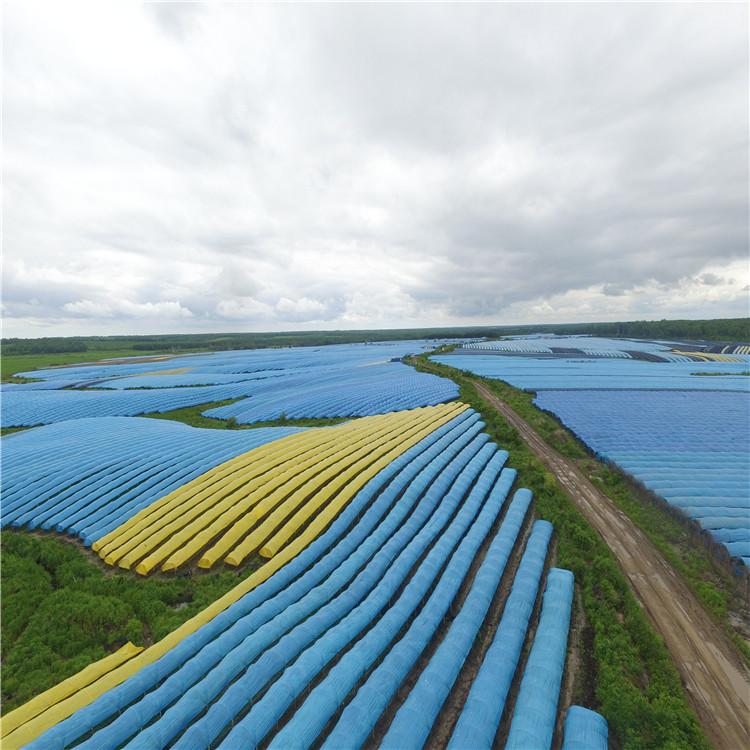 吉林防老化膜 品质优秀 蓝膜 黄膜 塑料膜批发销售