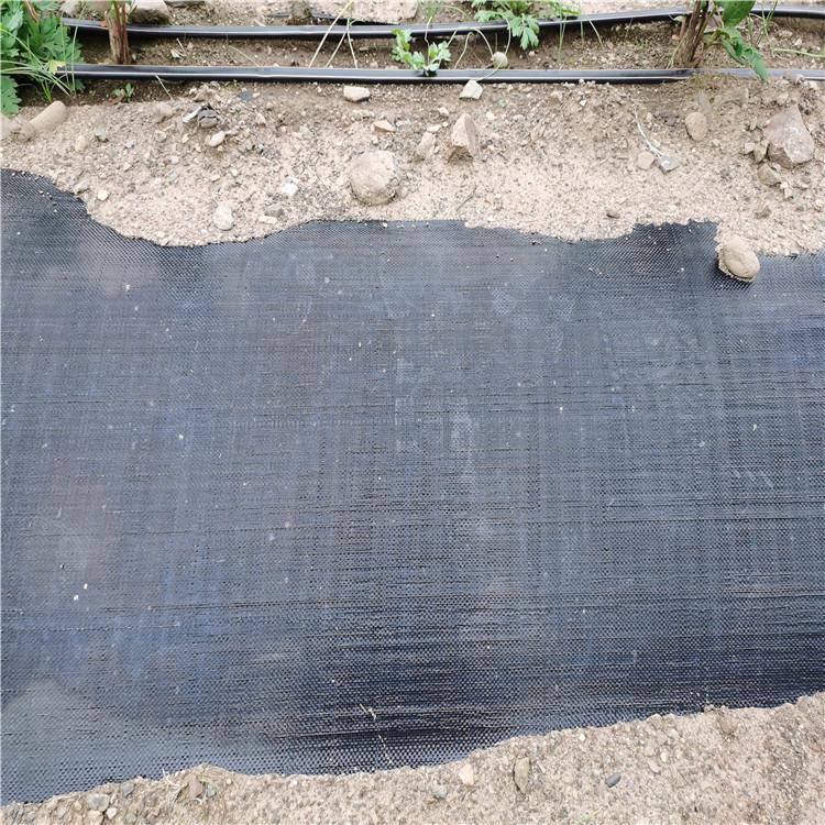 抗老化防草布 除草布 地布 果木种植地布 蓝莓防草布