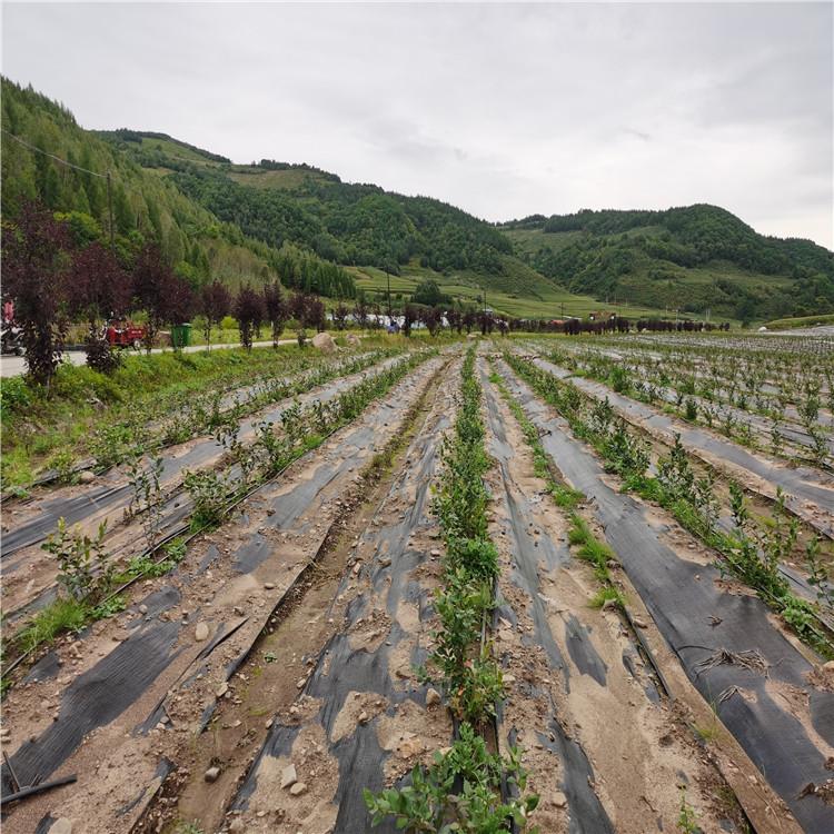 吉林地布批发 价格实惠 抗老化地布 规格齐全