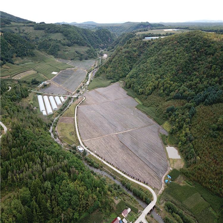 防草布 厂家供货 参达塑业 长春防草布厂家 常年直销