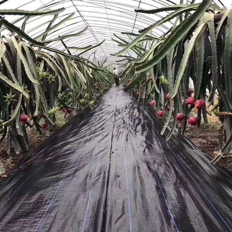 除草布 优质厂家 参达塑业 黑龙江除草布厂家 批发销售