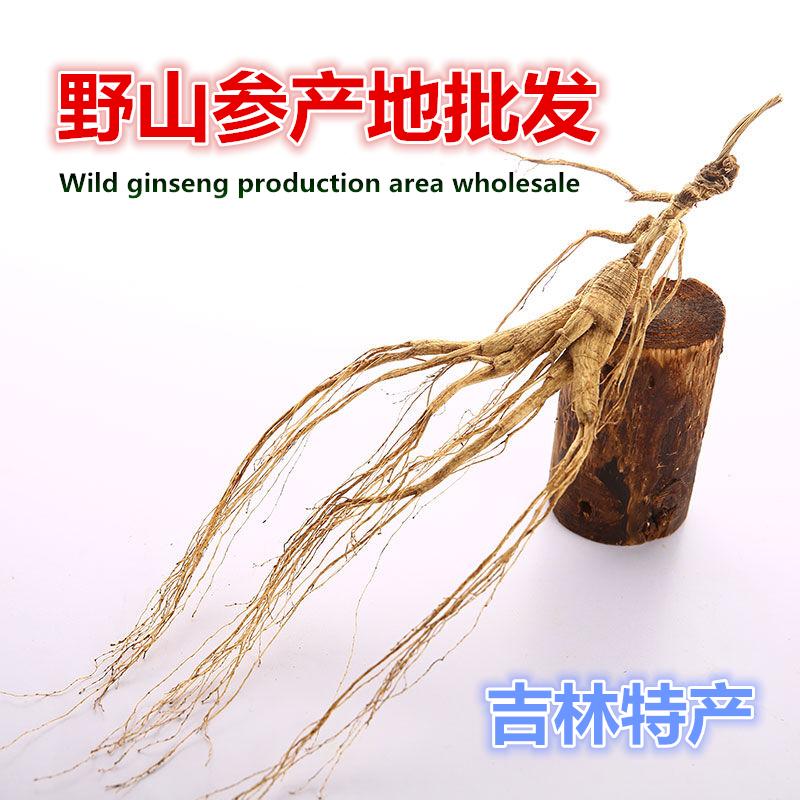 【产地批发】野山参山参礼盒礼品人参林下山参野生参高丽参人参
