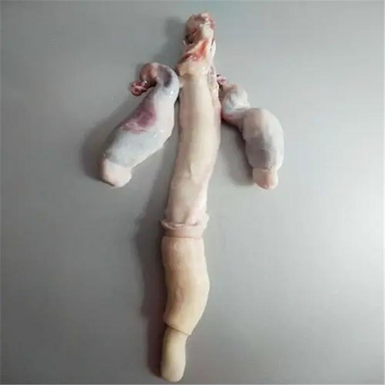 东北吉林鹿鞭 整根批发 双信鹿业