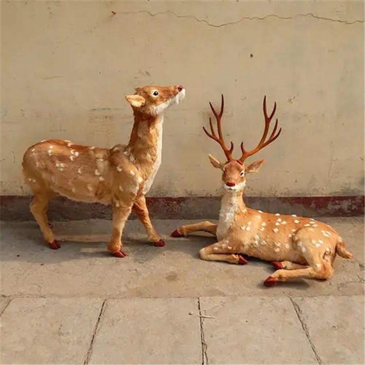 吉林鹿标本 真皮鹿标本