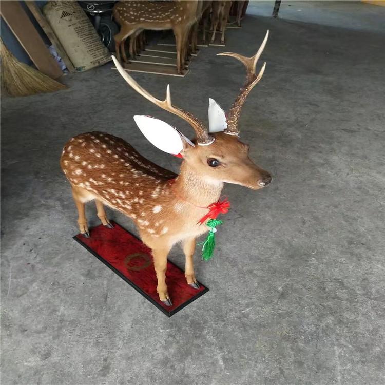 东北梅花鹿工艺品