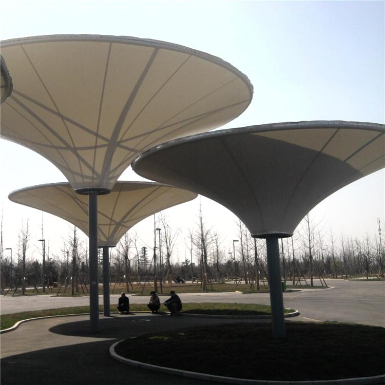 膜结构公司 辽宁膜结构公司