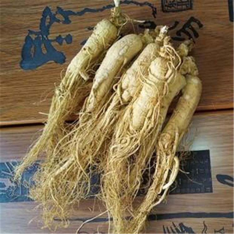 厂家直供 生晒参批发 品质货源 批发零售 东北生晒参价格